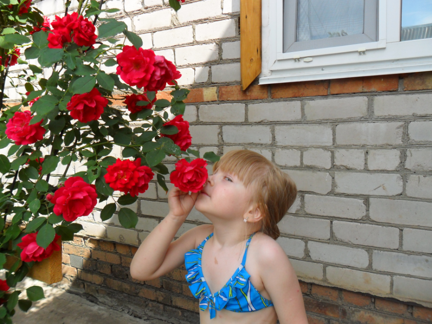 9917f5e620cfadd7906f91527b693679.jpg