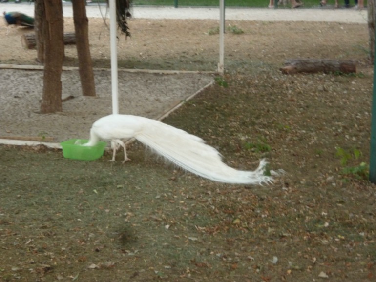 fa2efcd811f384fe68dd0d6b6f83e3f8.jpg
