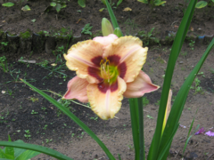 43b3113afb903198ad4b7e32e12e1bcf.jpg
