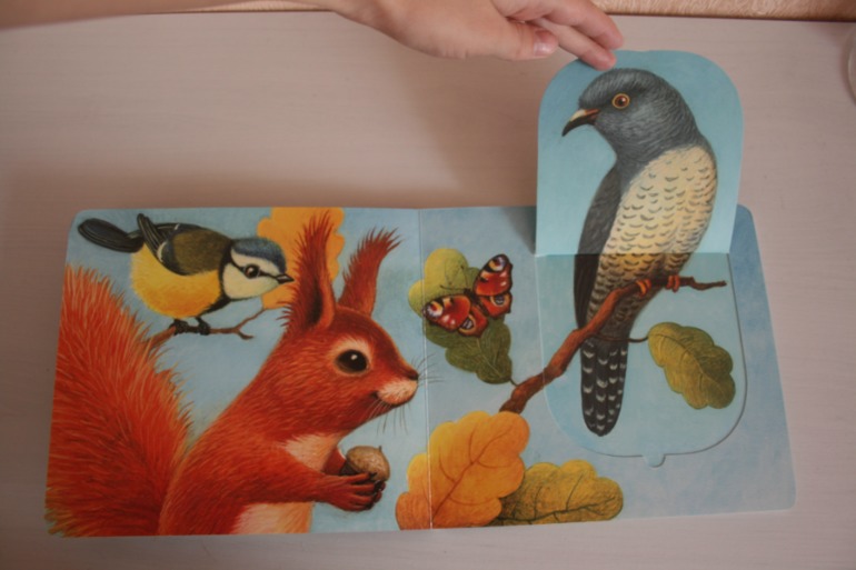 Книжки с кармашками