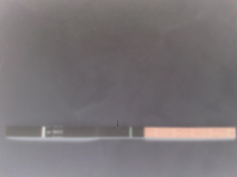 5cfa89328268010f43f3634579c24cd1.jpg