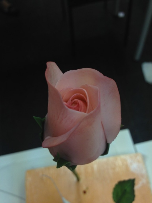 d953bf6316c8ec7d66fe79fad01aa046.jpg