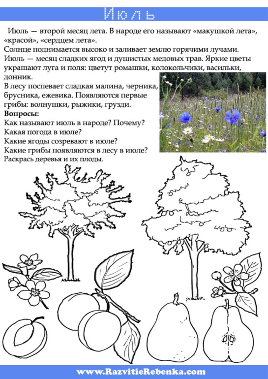 a710be2d4b7e73e9d4dfec80027fc189.jpg