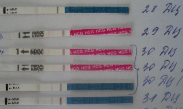 8cdad1af29b8d30359bcd9a49145ff5c.jpg