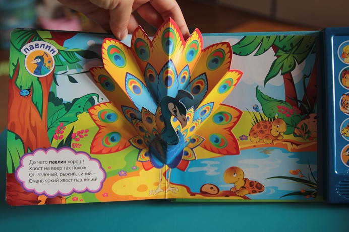 Наши книжки игрушки для самых маленьких