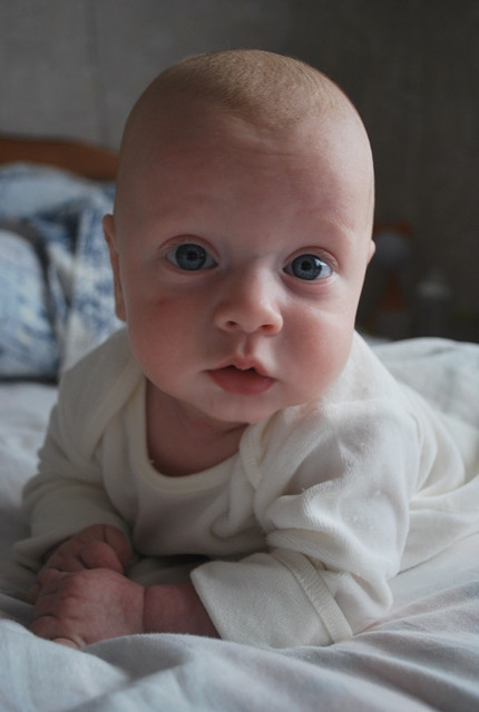 bd89c3063657b8edd87879b6343e976e.jpg