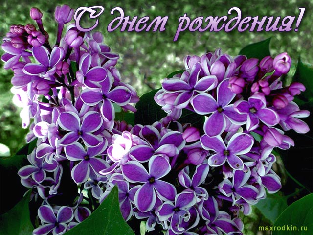 5c117ad450a385b478c549a4c50a8bae.jpg