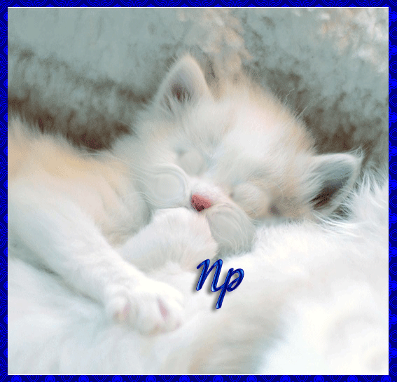 e1f73a29721cadb4232fc977a57fcee0.gif