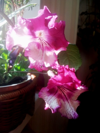 5f89b33818ff5bea480950860a3ec12b.jpg