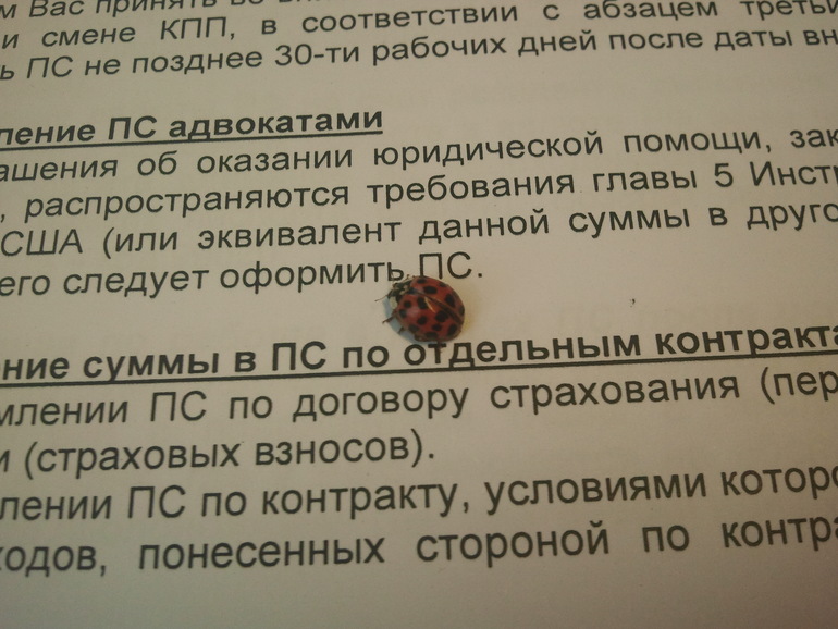 ce93eb9fd669bf3598c5541f047d4e19.jpg