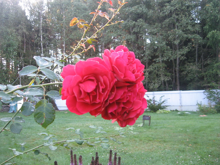 1f2887240032a7de294f0ac142a27ca9.jpg