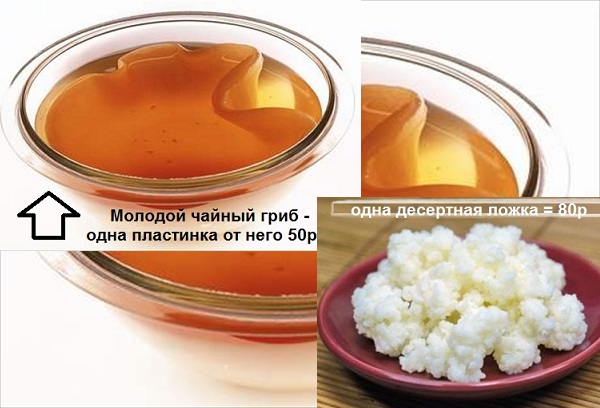 3f8a47a336abf63357ff783fbe8d0cfa.jpg