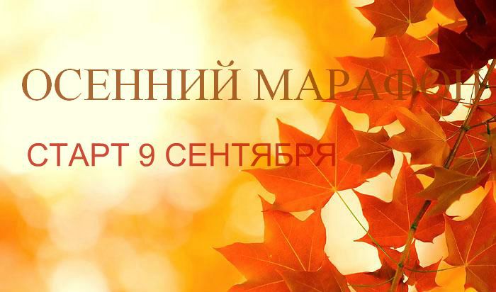 dd3dcf9eac6afe4b9fd9eff8a15a2411.jpg