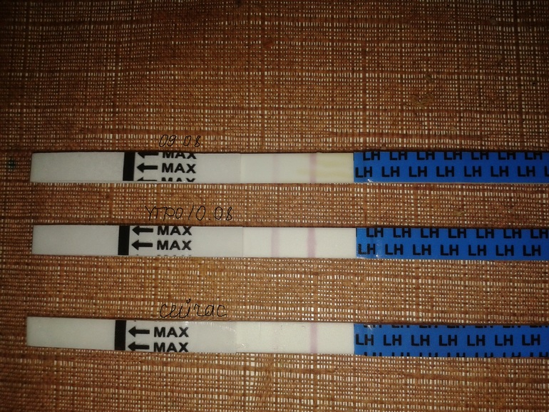 bb433a19d5a4118c5b7568172eb1c667.jpg