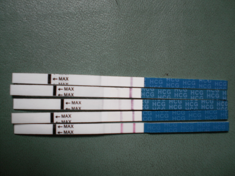 1d1fa59fc40b5d28edf0346ffcec8d81.jpg