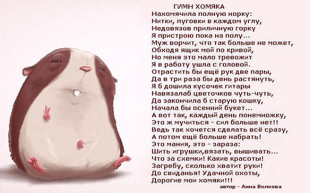 Про хомяков
