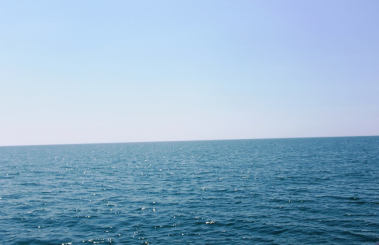 a56e3c20ccfa31f61c683fbd6247dfdf.jpg
