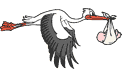c70f913abb93ebe131337dcb1f114532.gif