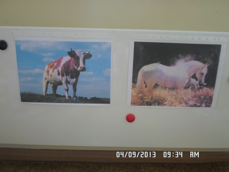 fc1ce5f606e49a6ff0a6740e385600bc.jpg