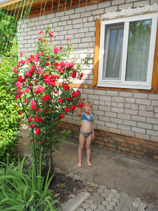74f24c1940f89bdcb1bd8dd9bd99af01.jpg