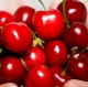 Cherry Polly