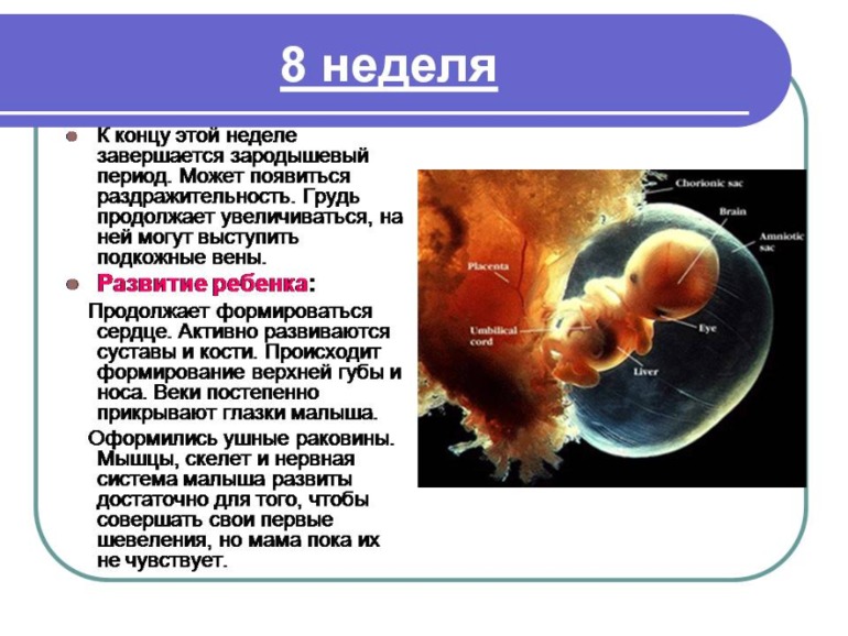 Немного о Б....Моя презентация о прекрасном мгновении в жизни женщины)