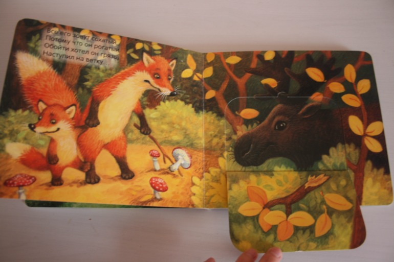Книжки с кармашками
