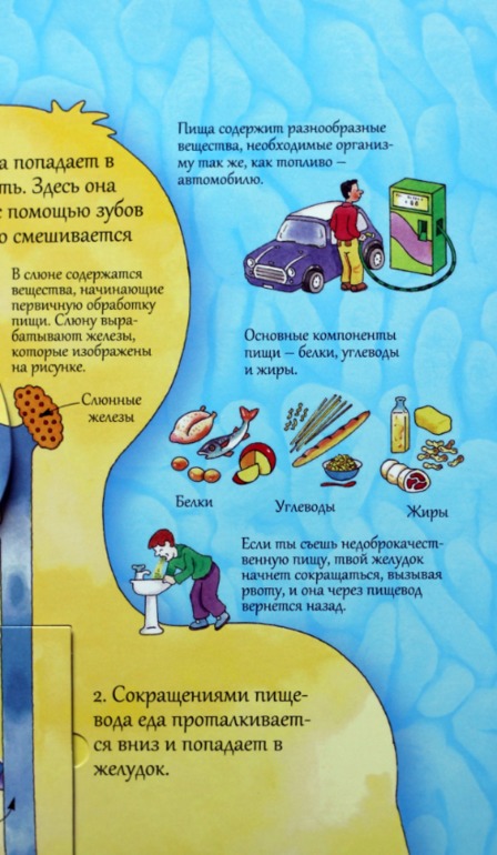 8d1238a38c6ee400d7327171a2a4109e.jpg