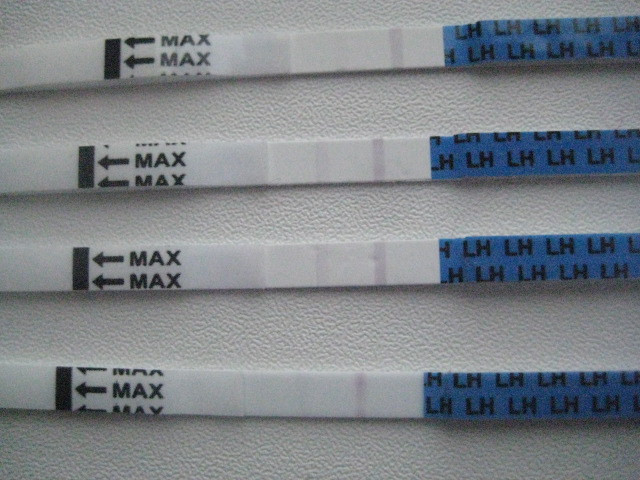 dadae7ae4a068a075404728bdb96a851.jpg