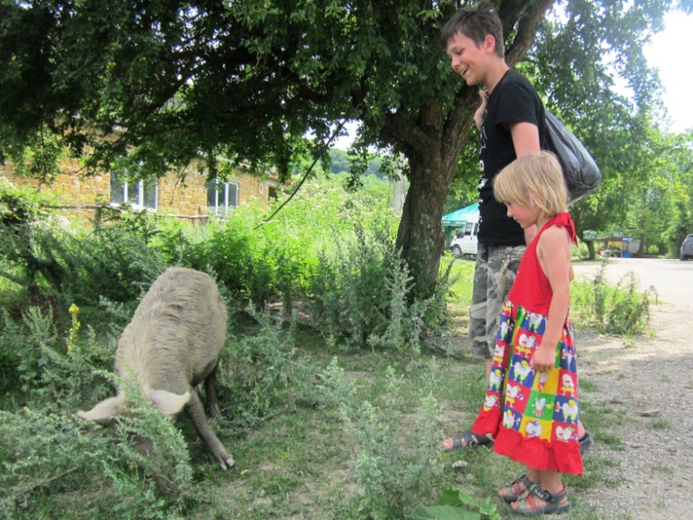 4589b5af53854bd7db4382e3b28e5d3f.jpg