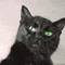 4994f49083ec5ab7eb4f7da21f087eae.gif
