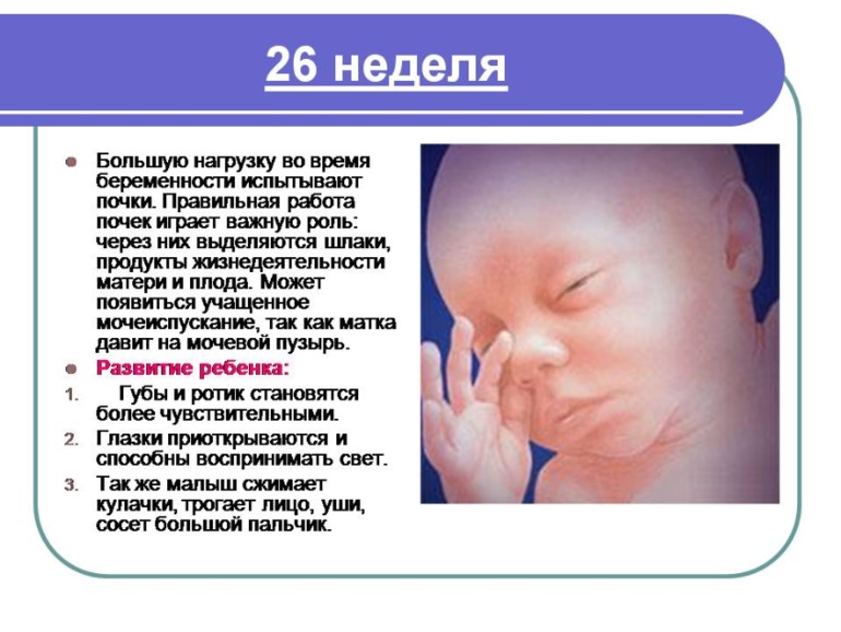 Немного о Б....Моя презентация о прекрасном мгновении в жизни женщины)