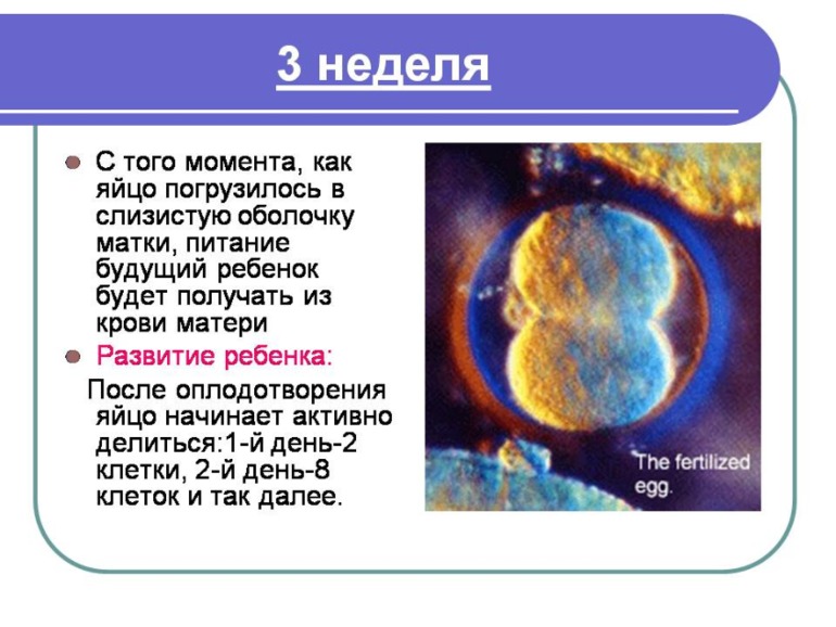 Немного о Б....Моя презентация о прекрасном мгновении в жизни женщины)