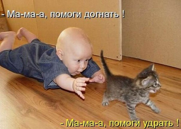 1b1e4e17b1454c93cba29228d29296cf.jpg