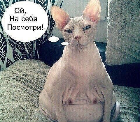 7309990cd69554d84aed3b3b7e6098aa.jpg
