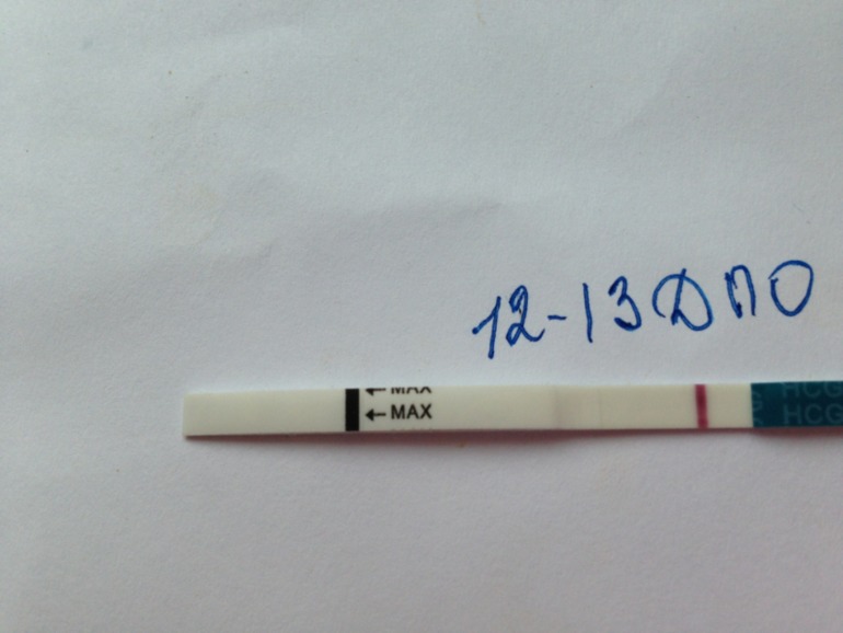 4fdc9c09c05fafeba67cdcac804477b3.jpg