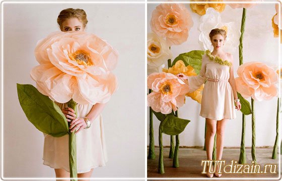 51859a6658d14428d23cae7a9e0855dc.jpg