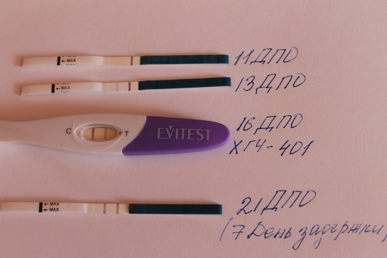 a312fdbd0b82b35ecc0354d15f30eb6c.jpg