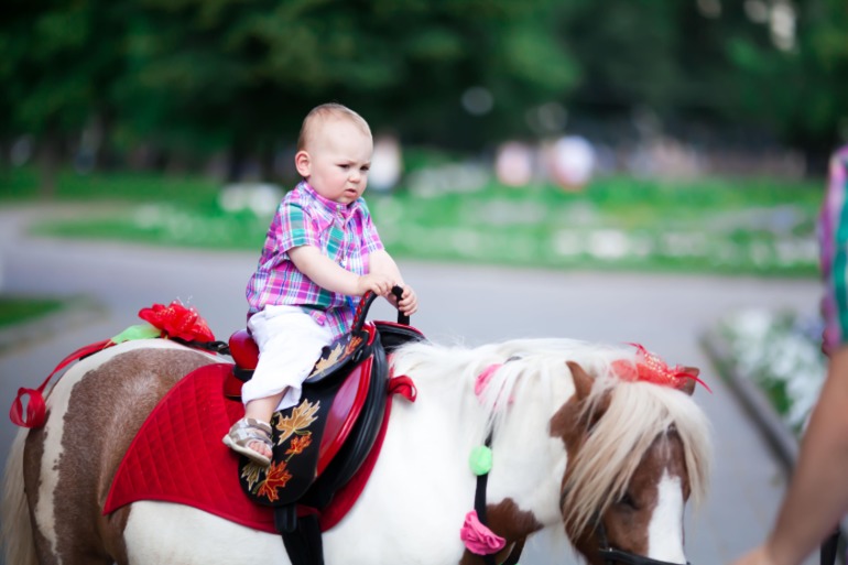 11a8df70ba0453a42eb92c634590a178.jpg