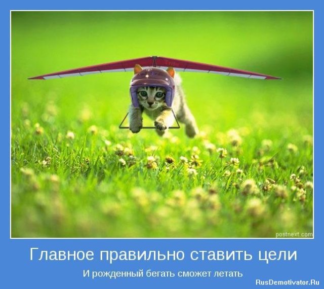 fad4db8042e48f7a01f5d18120b3f686.jpg