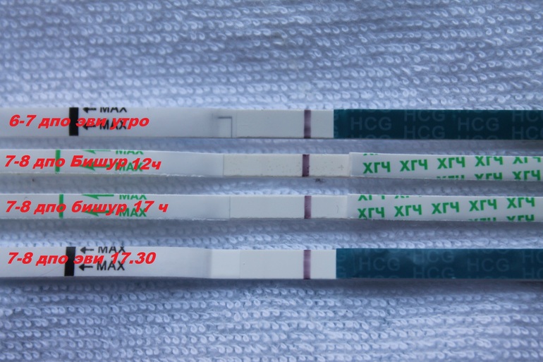 68f642e0bd85bc4f2b6647358b586e17.jpg