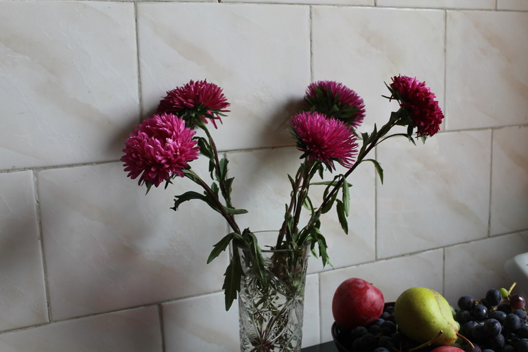 4b52ab8c89a3ee951c7b02adb65682a7.jpg