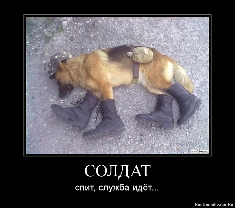 adc606139c86713b07d4c270168cc955.jpg