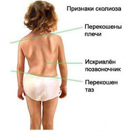 cc0b5b581ad4512083099ea6eab61c66.jpg