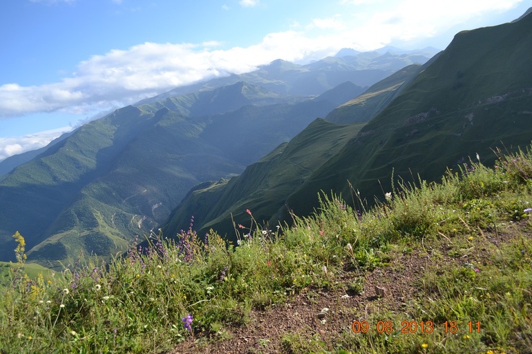 e2cf6ee1fb507dcea200d9b4accf5154.jpg