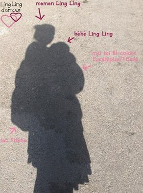 a456ef4ab4e8ffc04bf015373d6c3eb2.jpg