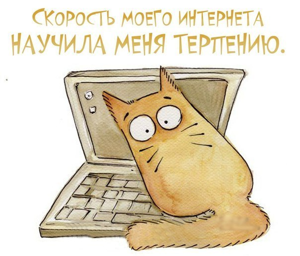 d620d9d3a593f6e12f3cdfb94721cced.jpg