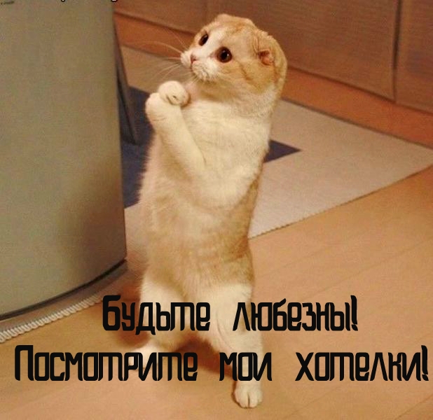 8dc9fa0c84434ee4e691f6a9677350fa.jpg