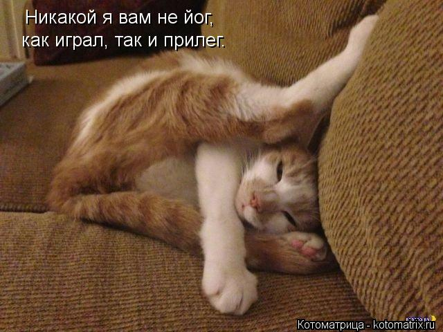 a3cb84f07fa8a2c334969be14d513f3c.jpg