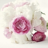7d78cca3c489a1f271fb636f59eab332.jpg